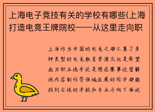 上海电子竞技有关的学校有哪些(上海打造电竞王牌院校——从这里走向职业选手与行业精英)